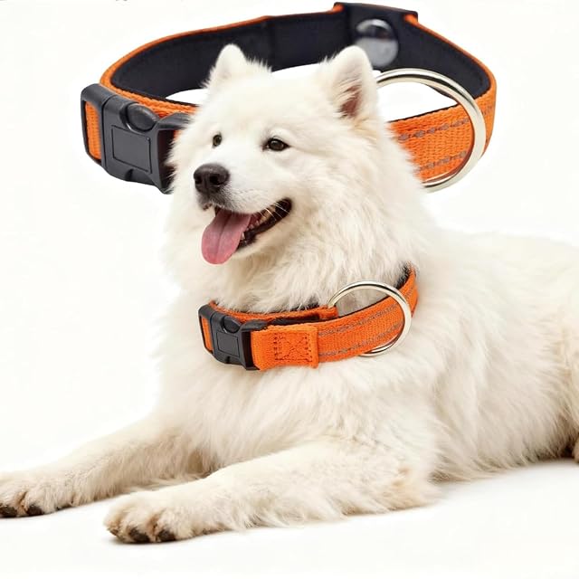 Foto 6 de 6 de Pawliberation Magnetic Dog Collar