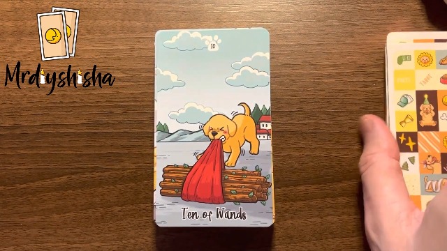Amazon.com: mrdiyshisha Labradorable Tarot: A Standard 78-Card