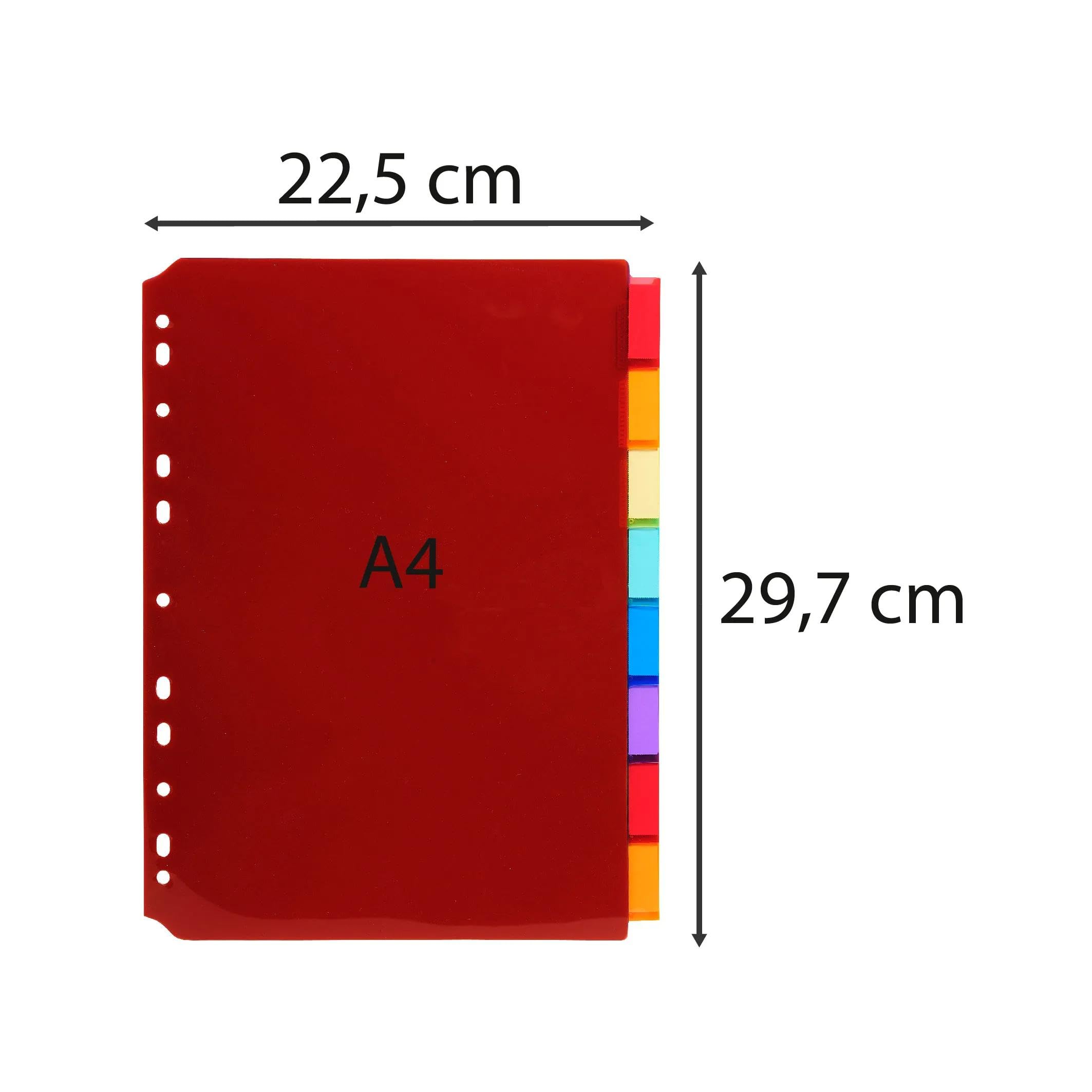 Exacompta - Nr ref. 3908E - Karton 10 półprzezroczystych przekładek polipropylenowych z 8 neutralnymi zakładkami - z drzwiczkami na etykiety - W zestawie zdejmowana deska z etykietami - Format do