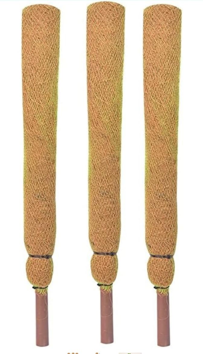 Moss Sticks for Plants Coir Stick for Plants Moss Pole Plant Sticks Support for Climbers Coco Pole for Climbing Indoor Plants (3 Feet Pack of 3) (B0BN8LSGP9) Amazon Price History, Amazon Price Tracker