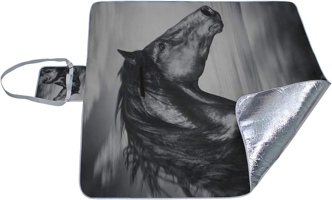 レジャーシート 動物の黒い馬 ピクニック 折りたたみ 撥水 アウトドア クッション マット コンパクト 花見 運動会 キャンプ 遠足