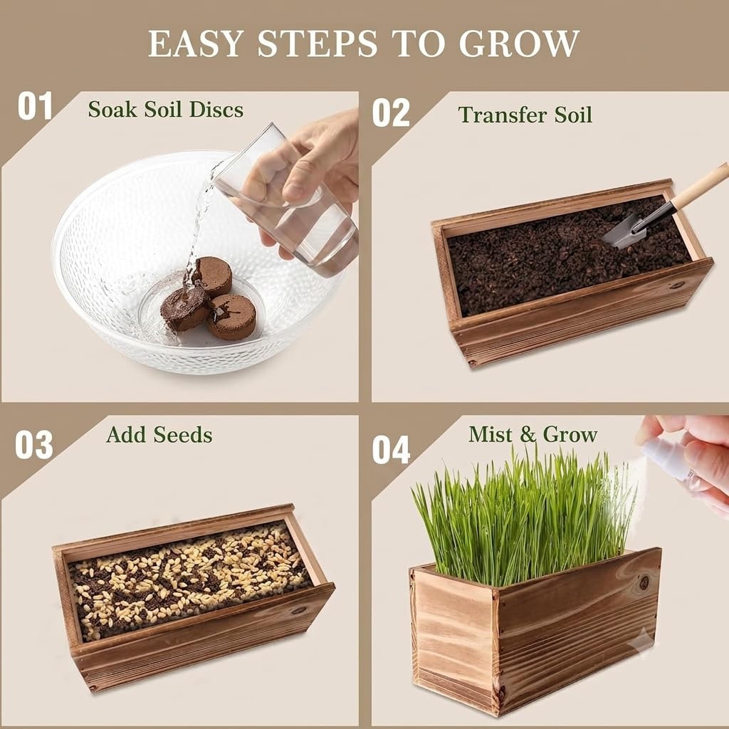 Herbe à chat pour chat d'intérieur – Jardinière en bois avec motif