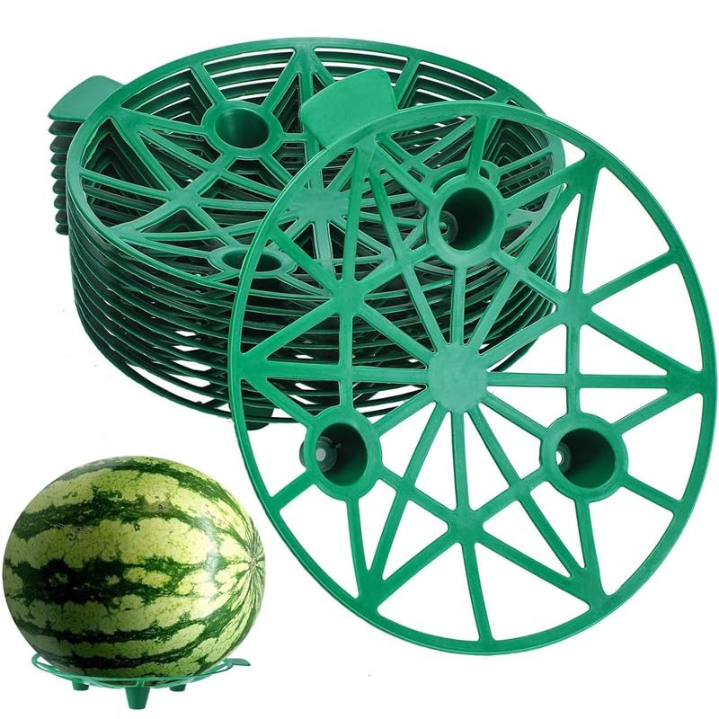 Amazon.com : HEAVYSEVEN 10 Packs Melon Cradle Pumpkin Stand