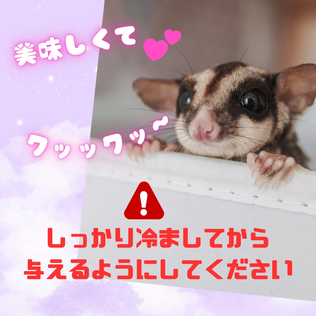 Amazon.co.jp: roadlinks フクロモモンガのペロ飯シリーズ