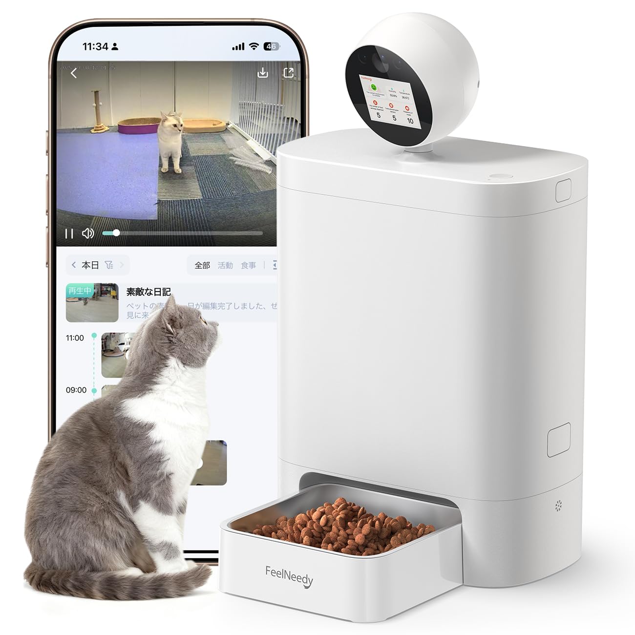 Amazon.co.jp: FEELNEEDY