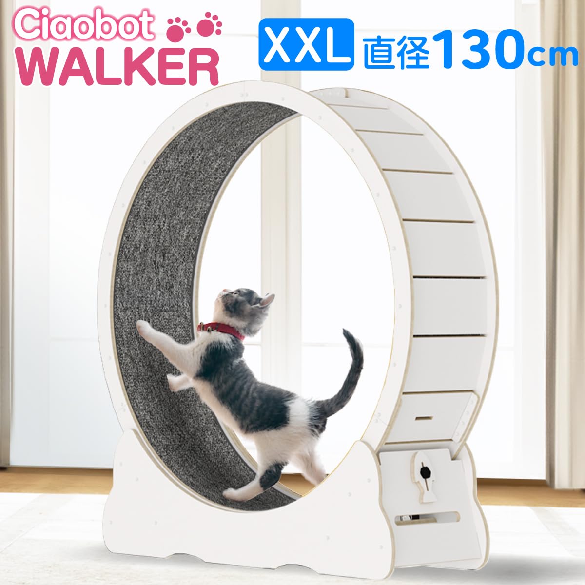 270 nekoさん専用 Amazon | Ciaobot キャットホイール 猫用 組み立て式 直径 90cm