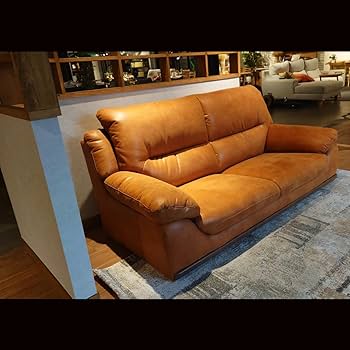 61Eoqq8aLyL._AC_UF350,