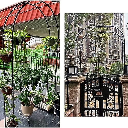 Cadre d'escalade pour plantes grand format contre le vis-à-vis - 7