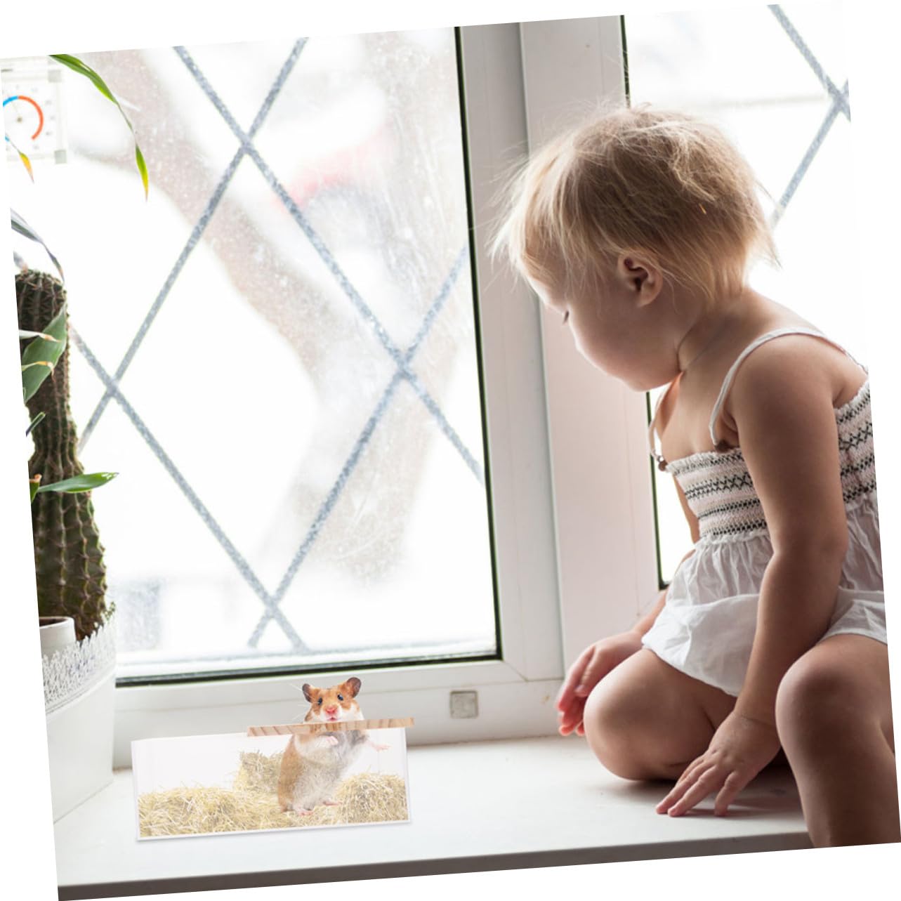 GARVALON 2 Stück Durchsichtige Acryl Chinchilla Badewannen Leicht und Verschleißfest für Hamster und Kleine Haustiere für Zuhause oder Zoohandlung