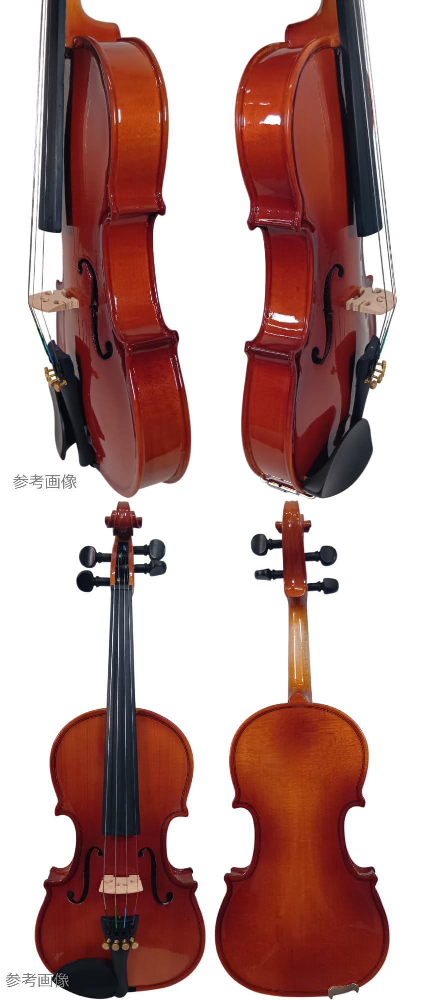 Amazon | ステンター バイオリン SV-FGC SV-120 1/16サイズ Aセット