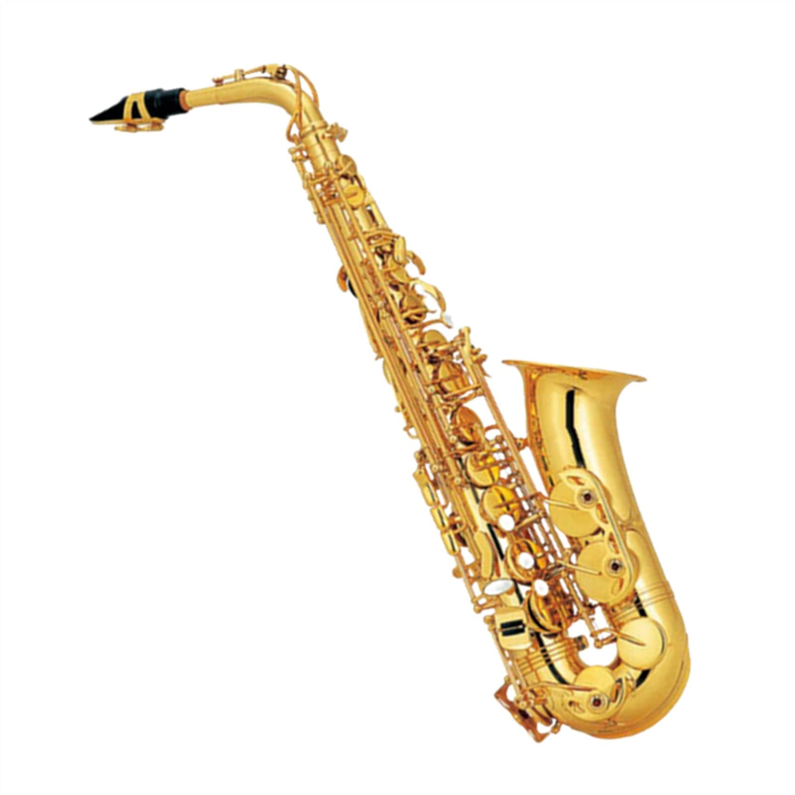 Sax Studente Sassofono Contralto Sassofono in Mi Bemolle Sassofono Contralto in Mi Bemolle Strumento Sax Contralto