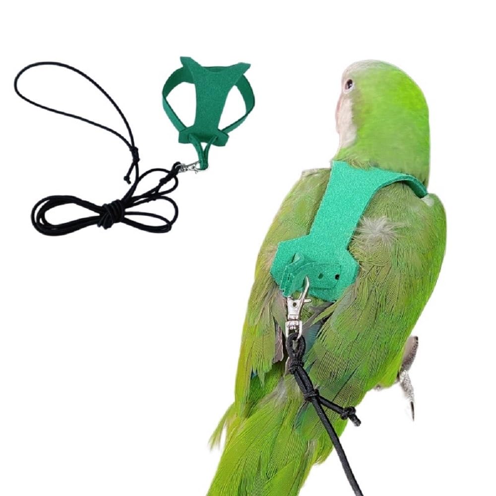 PARREN Bird Flight Harness Vest, Parrot Flight Suit with Leash for Parakeets, Bird Flying Clothes with Rope and Handle for Outdoor Activities Training, Anti Bite (L), Large, Green