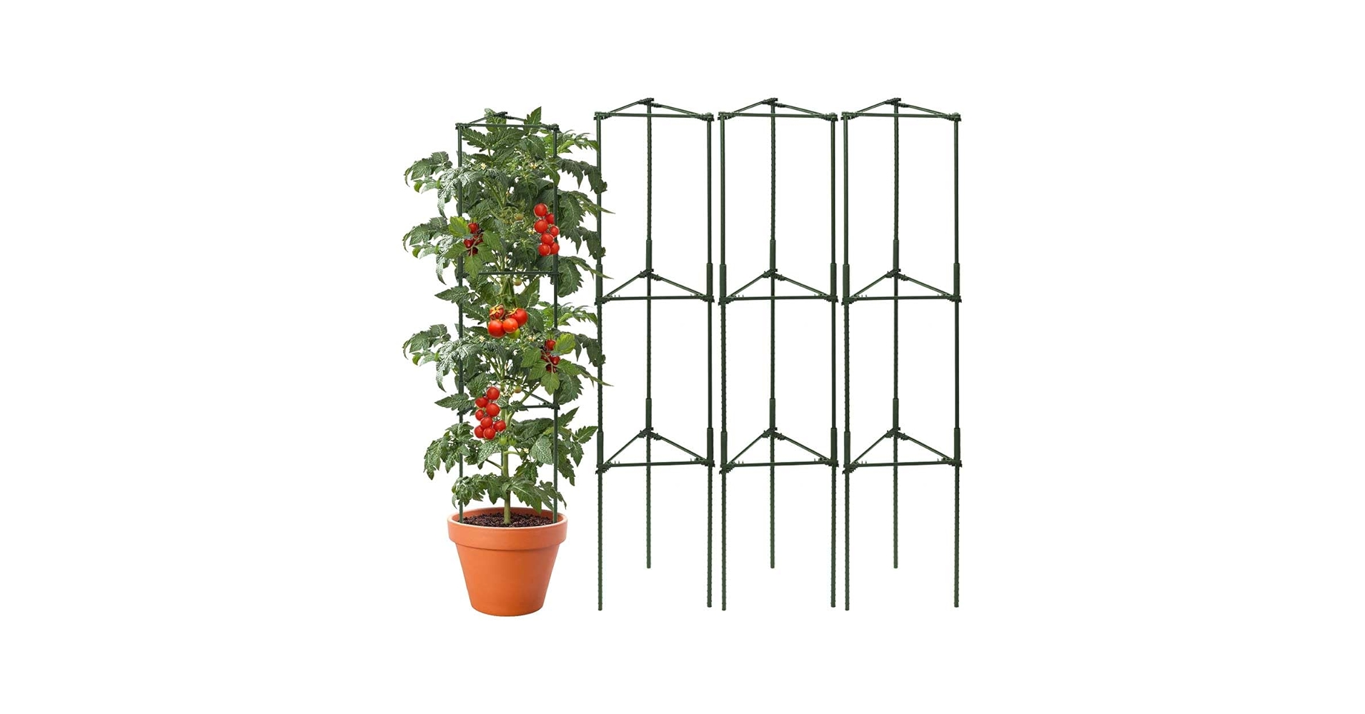 【新品】Hang out GRNT Plants Statnd 650&440 Amazon.com : arbxvnr 3 Package up to 48in Tomato cage Garden