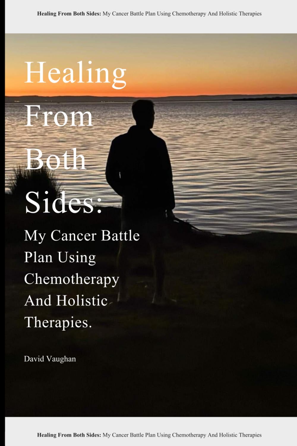Healing From Both Sides:: My Cancer Battle Plan Using Chemotherapy And Holistic Therapies.