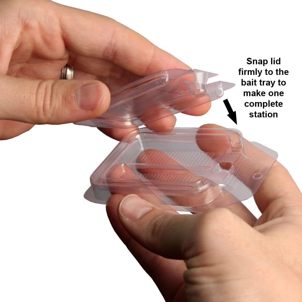 Effective Pest Control: A Review of Rockwell Labs Bait Plate Insect Bait Stations