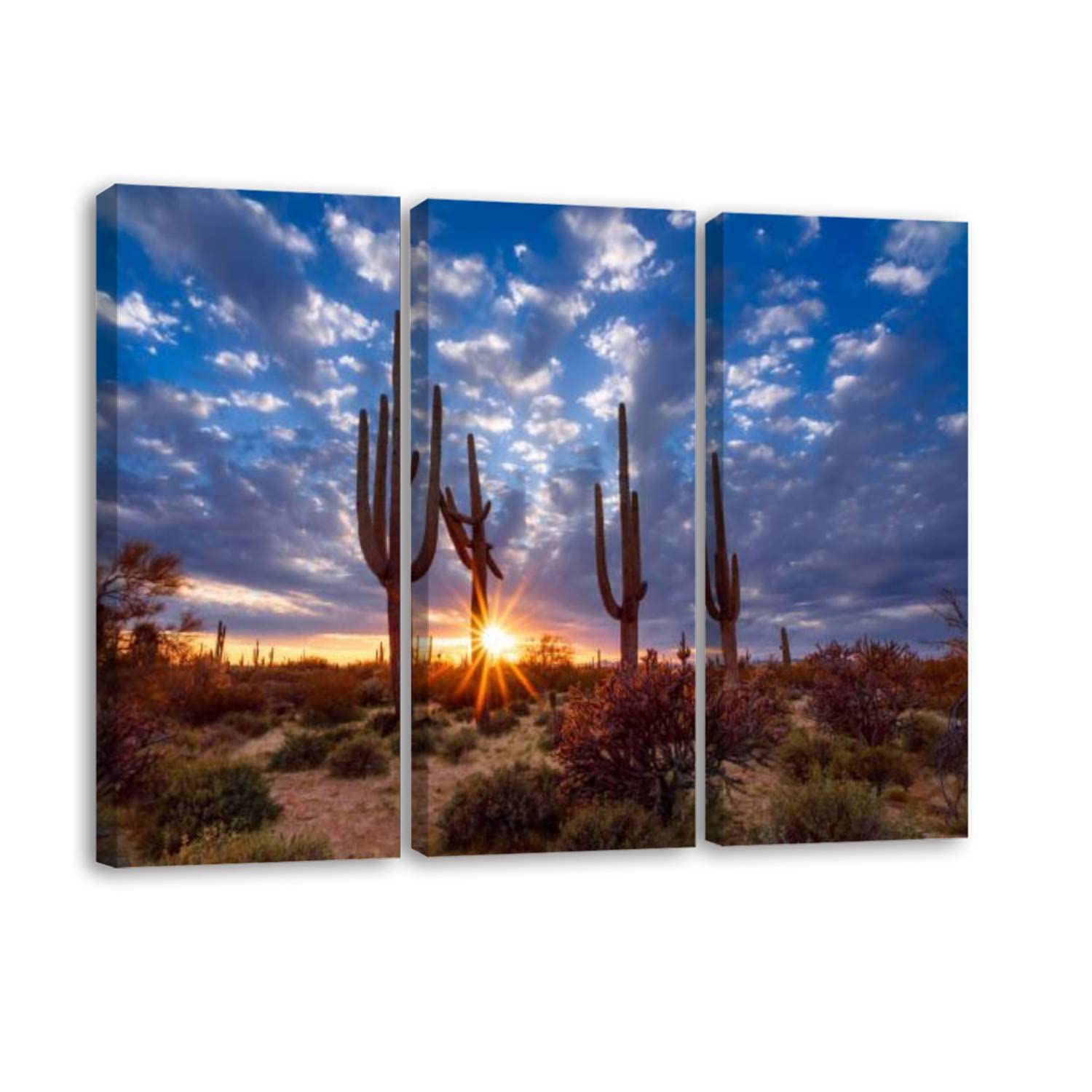 江戸時代　鍔 風景　空山海模様2個セット　「あき3」 Framed Canvas Print Wall Art Set of 3 Desert Landscape Plant