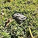 (Type-A (Black), 1 Pack) Fake Rock - Looks Stone - Safe for Outdoor Outdoor Secret Safe Box for Keys, Fake Stone Rock Yard House Accessories