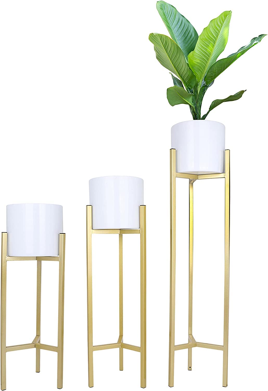ANASIA HANDICRAFTS Planters for Indoor Plants - Set of 3 Metal Planters with Stands - Indoor Plant Pots for Indoor Plants - Mid Century Plant Stands with Pots - Plant Pots Indoor Planter (White/Gold) (B0BBCD7BNB) Amazon Price History, Amazon Price Tracker