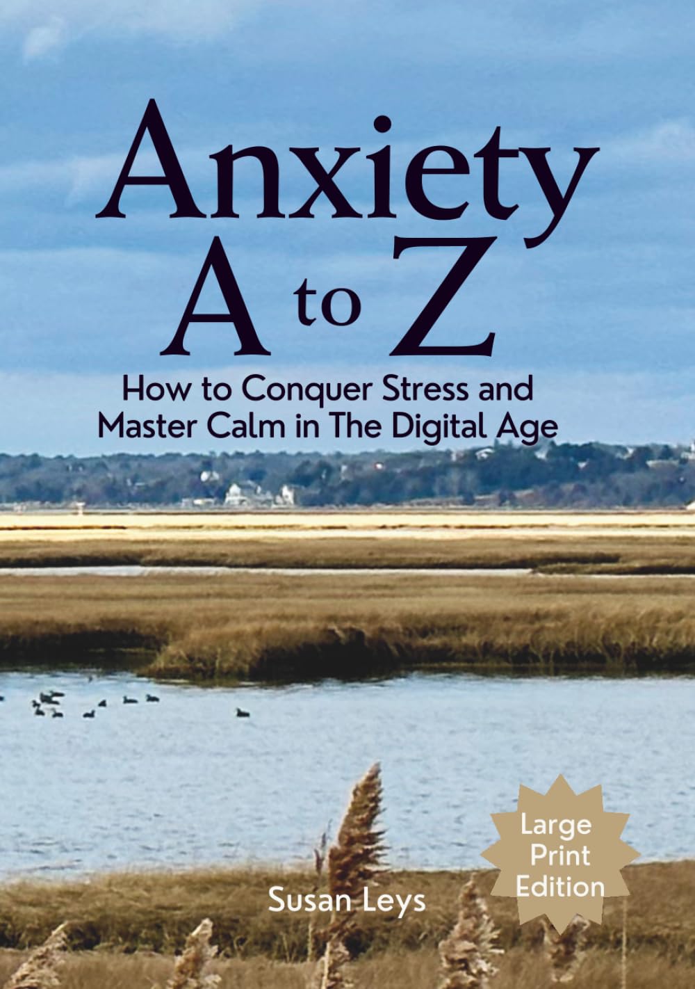 Anxiety A to Z: How to Conquer Stress and Master Calm in The Digital Age (Mental Wellness Essentials)
