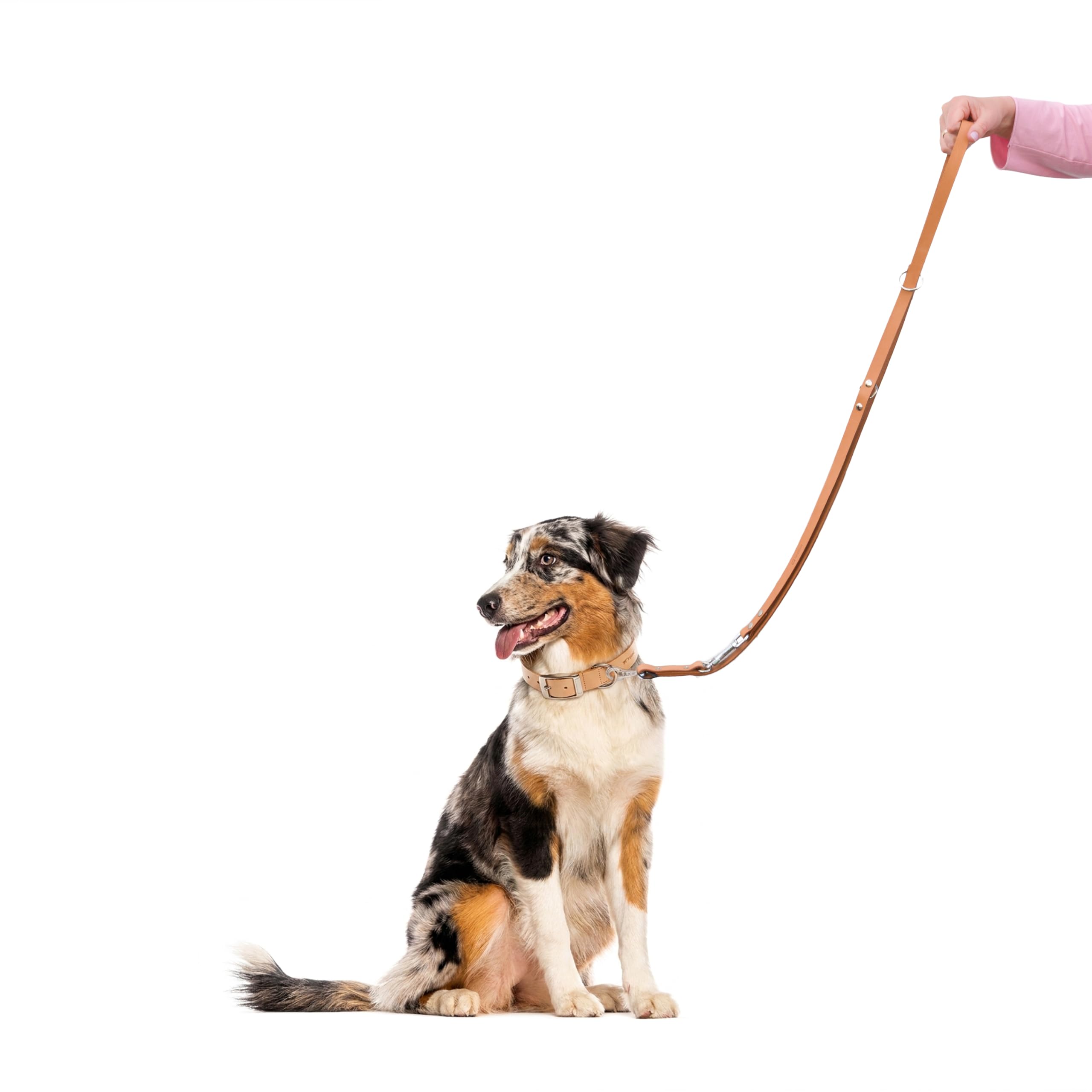 Ferplast Guinzaglio per Cani Guinzaglio per addestramento cane cani in cuoio nero o naturale