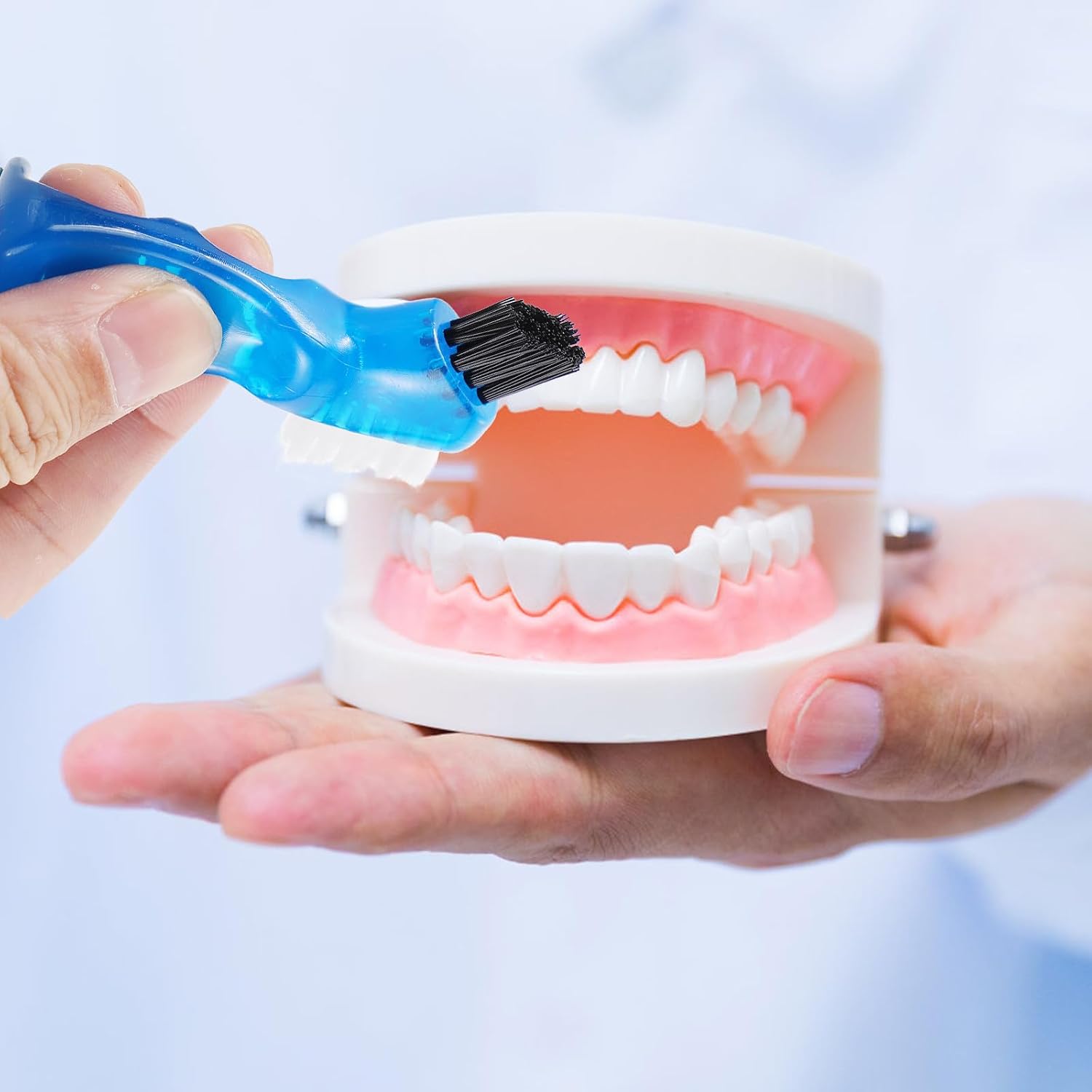 Portable Denture Box with Brush for Retainers and Fake Teeth