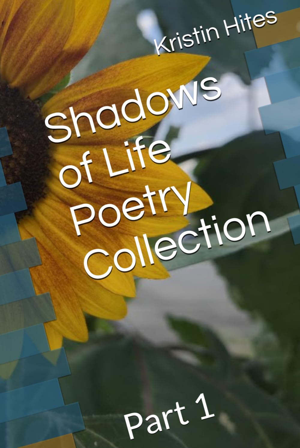Shadows of Life Poetry Collection: Part 1