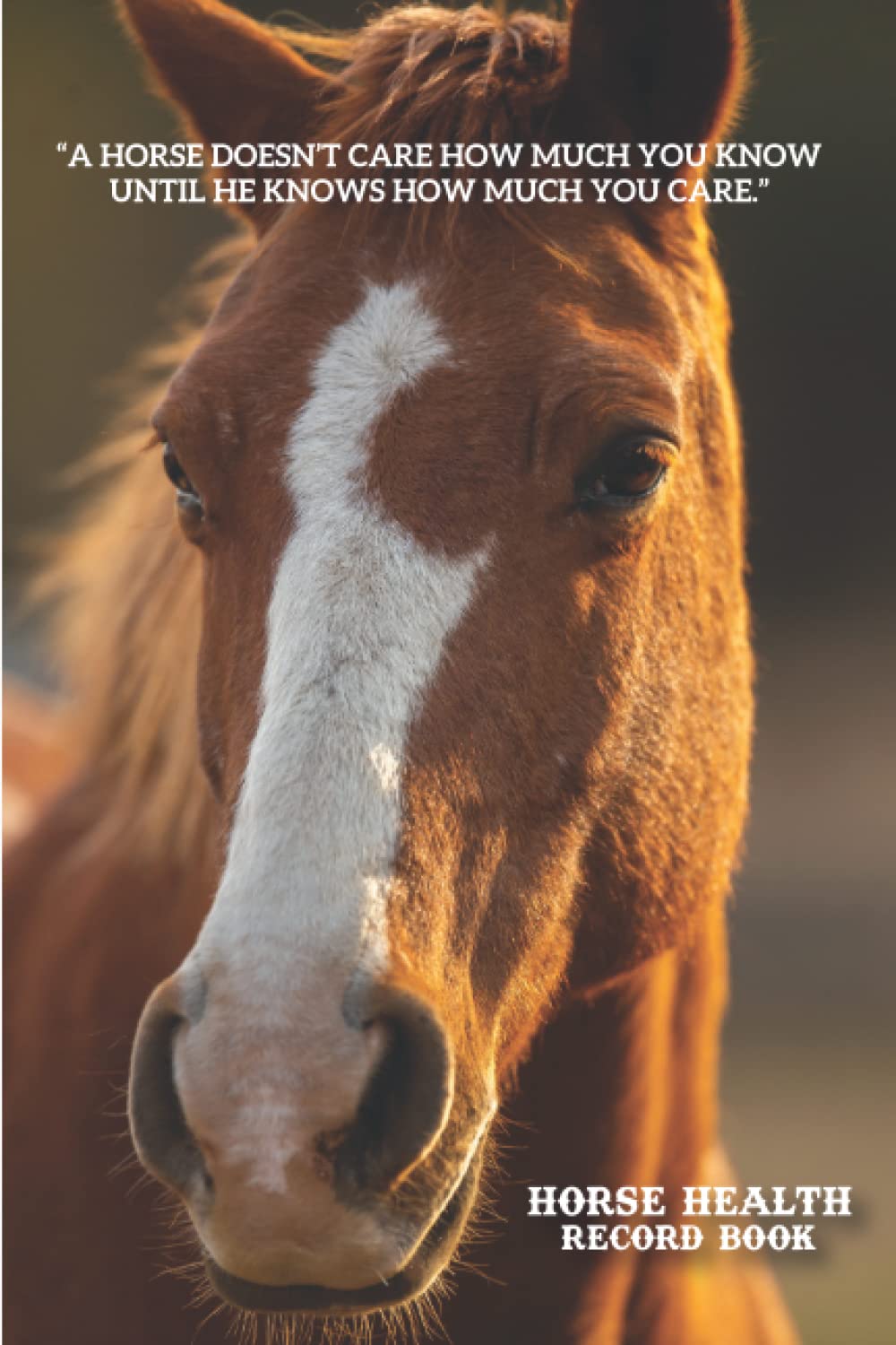 Horse Health Record Book Horse Health Care Logbook helps keep track of