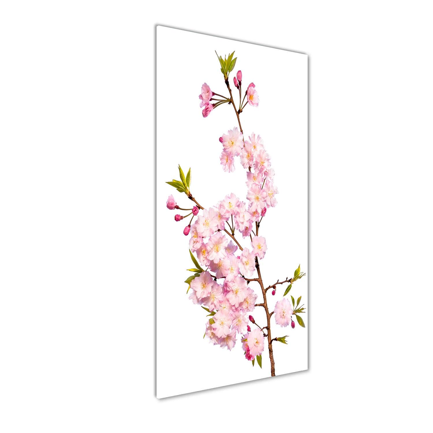 Tableau en verre trempé Tulup une décoration murale haut de gamme 50x125cm