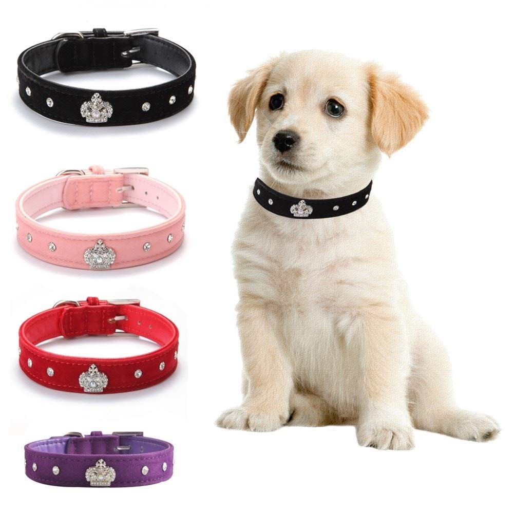 Glitzerndes Hundehalsband Mit Strass-Krone – Verstellbar Aus Kunstleder Für Kleine Hunde
