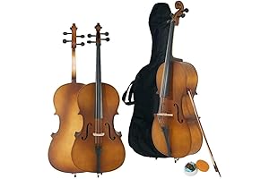 Eastman Cello: A Masterpiece for Musicians