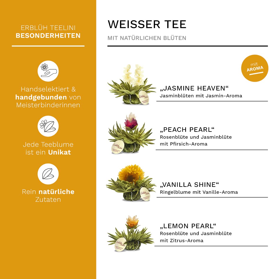 Creano ErblühTeelini Teeblumen Geschenkset mit Teeglas und 8 Teeblumen im Tassenformat, Weißer Tee, Geschenk zu Weihnachten