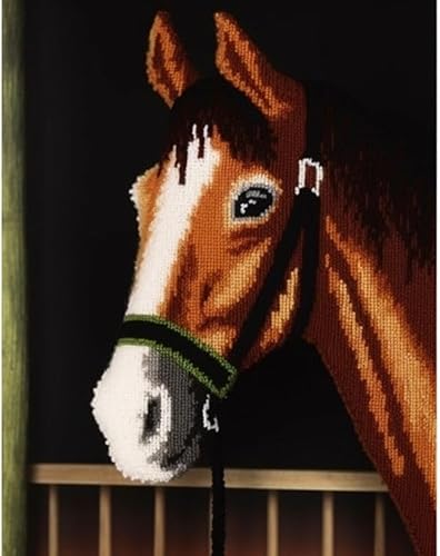 Kits de gancho de pestillo para alfombra, kit de bordado de caballo, kit de gancho de costura, kit de manualidades para principiantes, bricolaje,