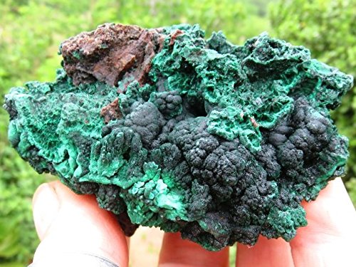 StarStuff.Rocks Crystal and Mineral Specimens: Natural Malachite Silky Malachite from Africa - up to 1lb