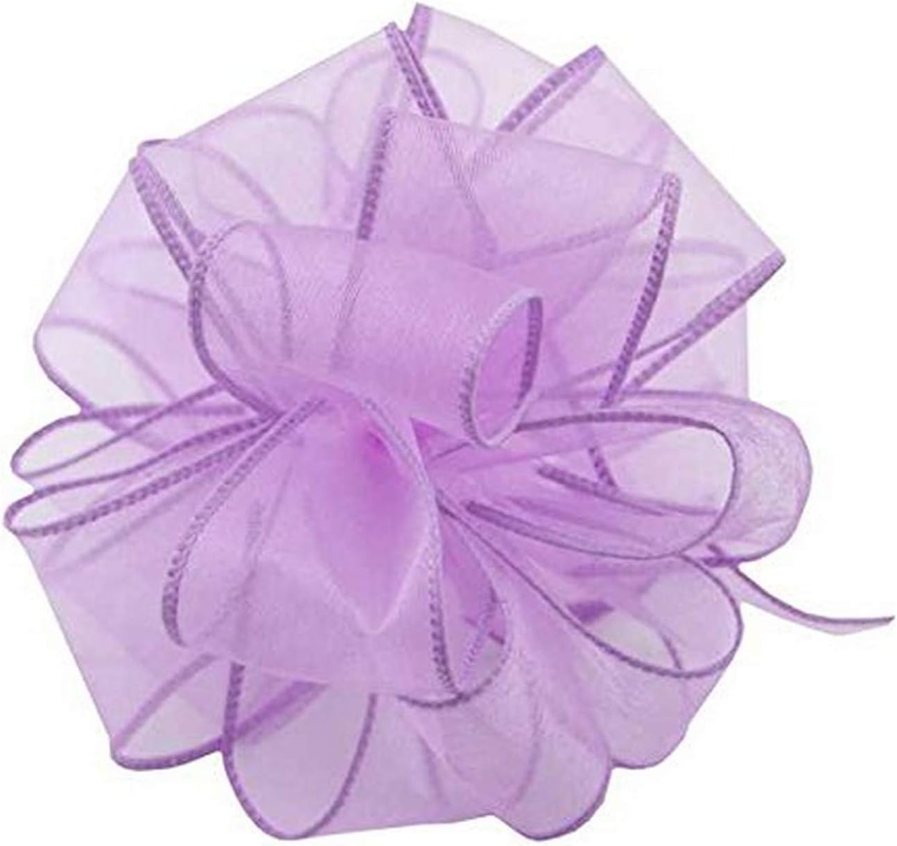 Amazon.com: Berwick Offray DWI Sheer Spring Wired Edge Ribbon-2-1/2 ...