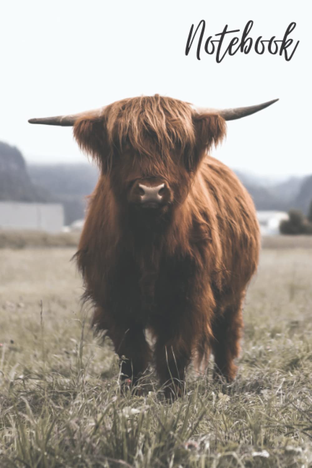 Highland Cow Notebook: A 6" x 9" Scottish Highland Cow Notebook / Journal with 120 Blank Lined Pages