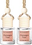 Hanging Car Air Freshener, Long Lasting Scent, Cute Air Fresheners for Women, 2 Pack Non-Toxic Essential Oil Diffuser, Made in USA