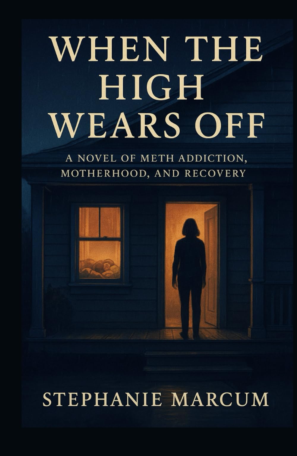 When the High Wears Off: A Novel of Meth Addiction, Motherhood, and Recovery