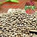 300pcs Hemp Seeds Sativa Organic Non GMO Garden Plant Rare Bonsai Seeds + 10G Chili Seeds (Gift)
