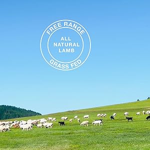 Sprinkle Mingle – All Pure, Grass-Fed & Free-Vary, 100% Lamb Tripe Topper with Probiotics for Canine Meals, 3.5oz