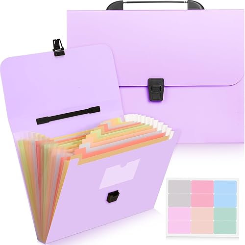 Cholemy Carpeta de archivos expandible de 13 bolsillos con asa, grande, impermeable, expandible, mensual, portátil, organizador de documentos,