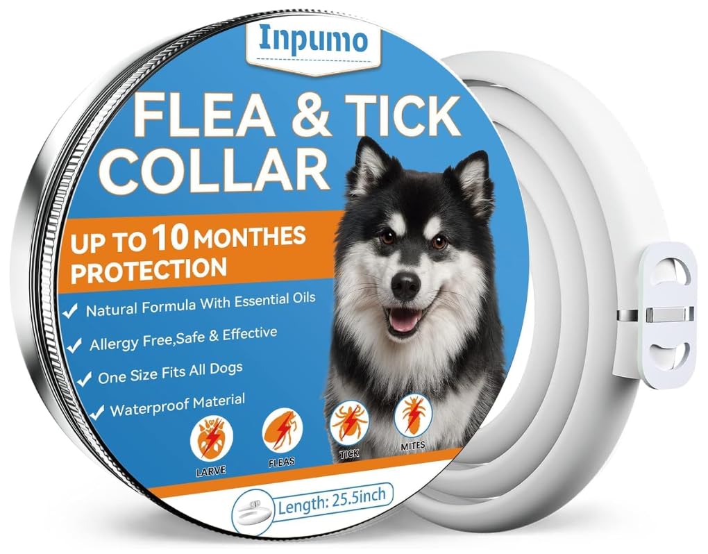 Inpumo Collar Antiparasitario Perros, Collar Antipulgas Perros, 10 Meses de Protección Antipulgas Collar Perro Antiparasitario Impermeable Fórmula Natural Apto para Todos los Perros(1 Paquete)