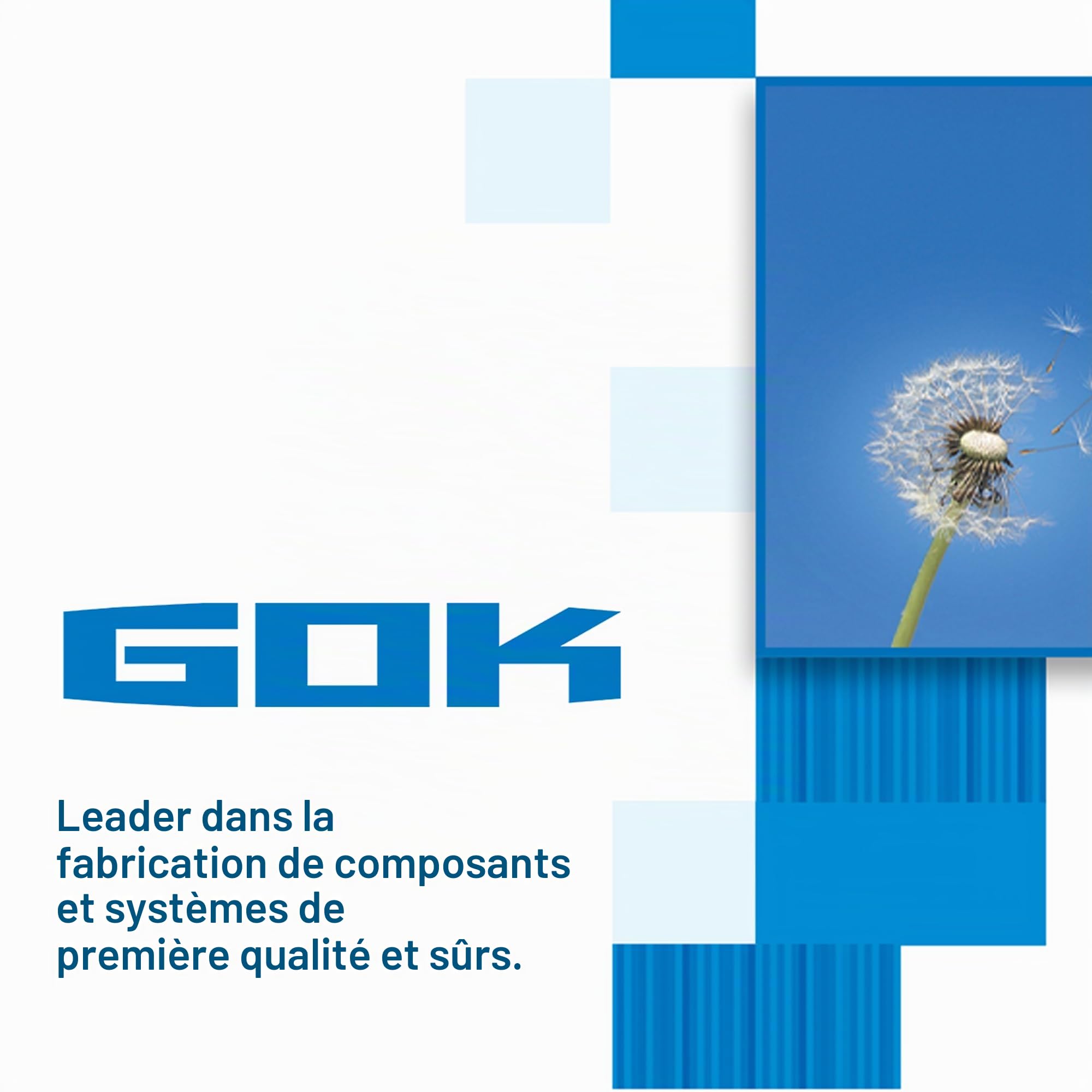 GOK régulateur de gaz avec 2 abgängen