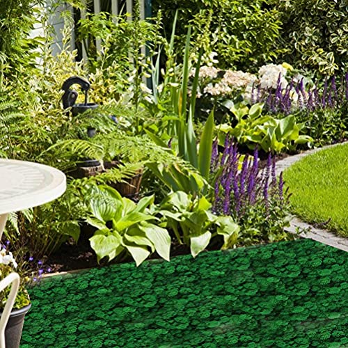 Hidyliu 1 doos landschapsarchitectuur groene planten, simulatie gras bryofyte, tuin synthetische gras, nep mos decor… - Afbeelding 7