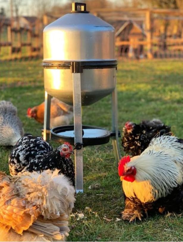 Abreuvoir Poules en tôle zinguée avec réservoir de 25 litres, Facile à remplir, déranger et Nettoyer