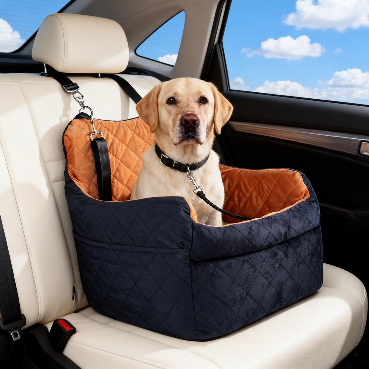TOPOmerice Elevated Dog Car Seat
