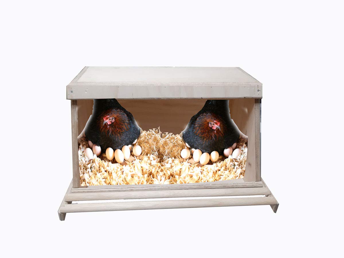 Nido per Galline ovaiole covatrice Sala Parto con posatoio Esterno per Gallina in Legno per pollaio 60x30x30h cm