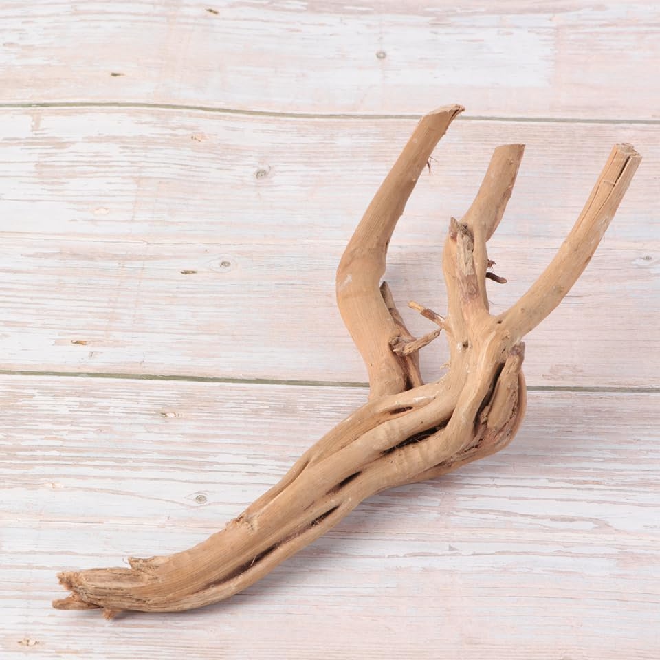 Décoration D'aquarium en Branche Naturelle 30-35 Cm pour Aquarium d'eau Douce Ancrage de Mousse Ph, pour Aquarium de Poissons Plusieurs Styles