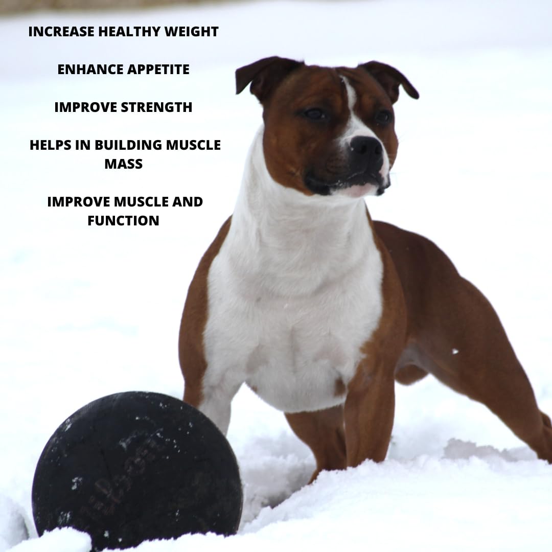 Hench Range Dog Weight Gainer- Healthy Weight Gain Supplement With Natural Ingredients Premium Nutrition for Stronger Leaner Dogs - Image 3