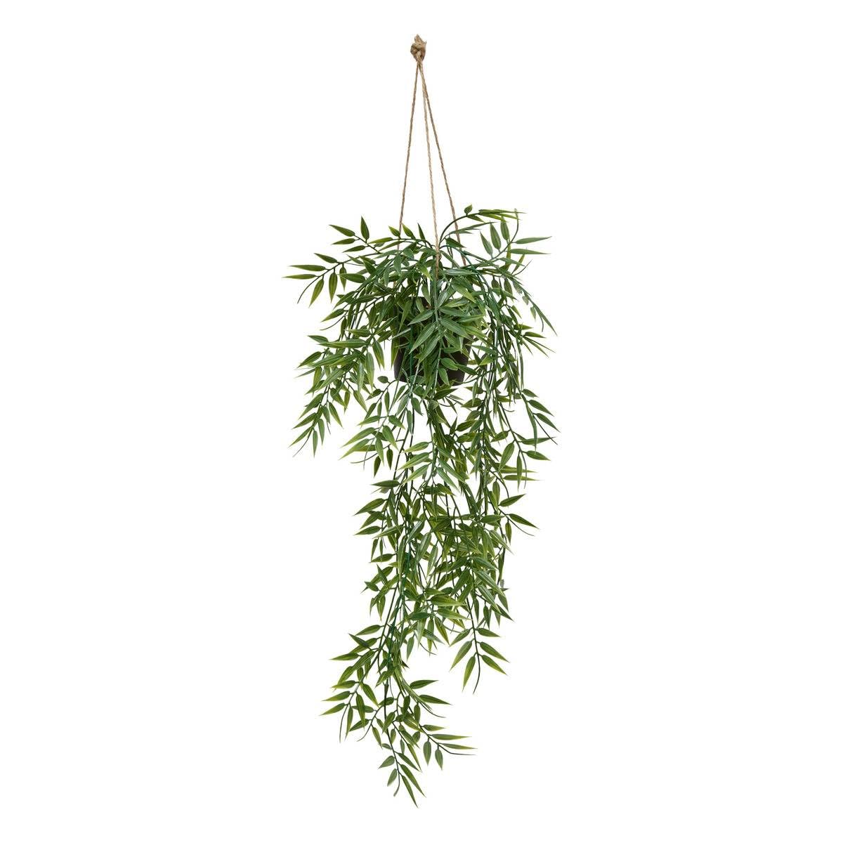 Atmosphera - Plante sups Bambou Liora h67