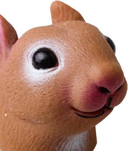 Miniatura 7 de DR DINGUS Marionetas de dedo de animales (quirrel y panda)  Ideal para recuerdos de fiesta infantil, premios de caja del tesoro, rellenos de bolsas